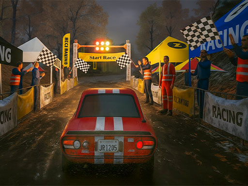 Rally Race Pro